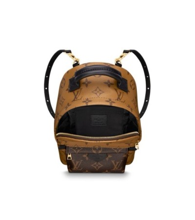 Louis Vuitton Palm Springs Backpack Mini M42411