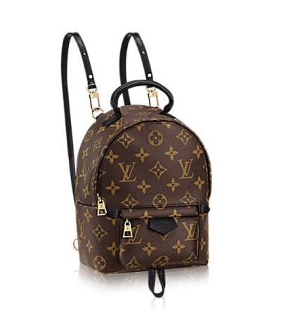 Louis Vuitton Palm Springs Mini M41562