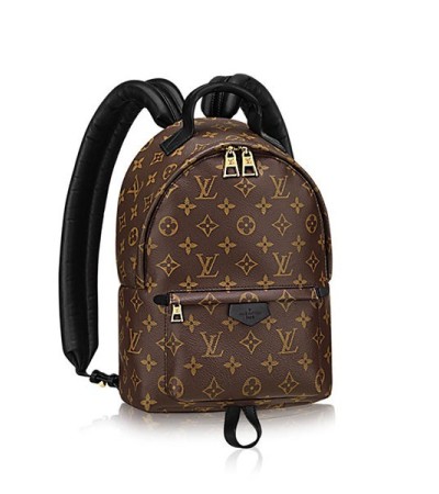 Louis Vuitton Palm Springs PM M41560