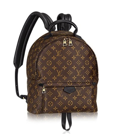 Louis Vuitton Palm Springs MM M41561