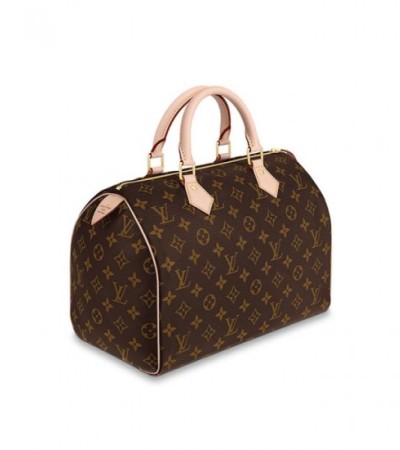 Louis Vuitton Speedy 30 M41108